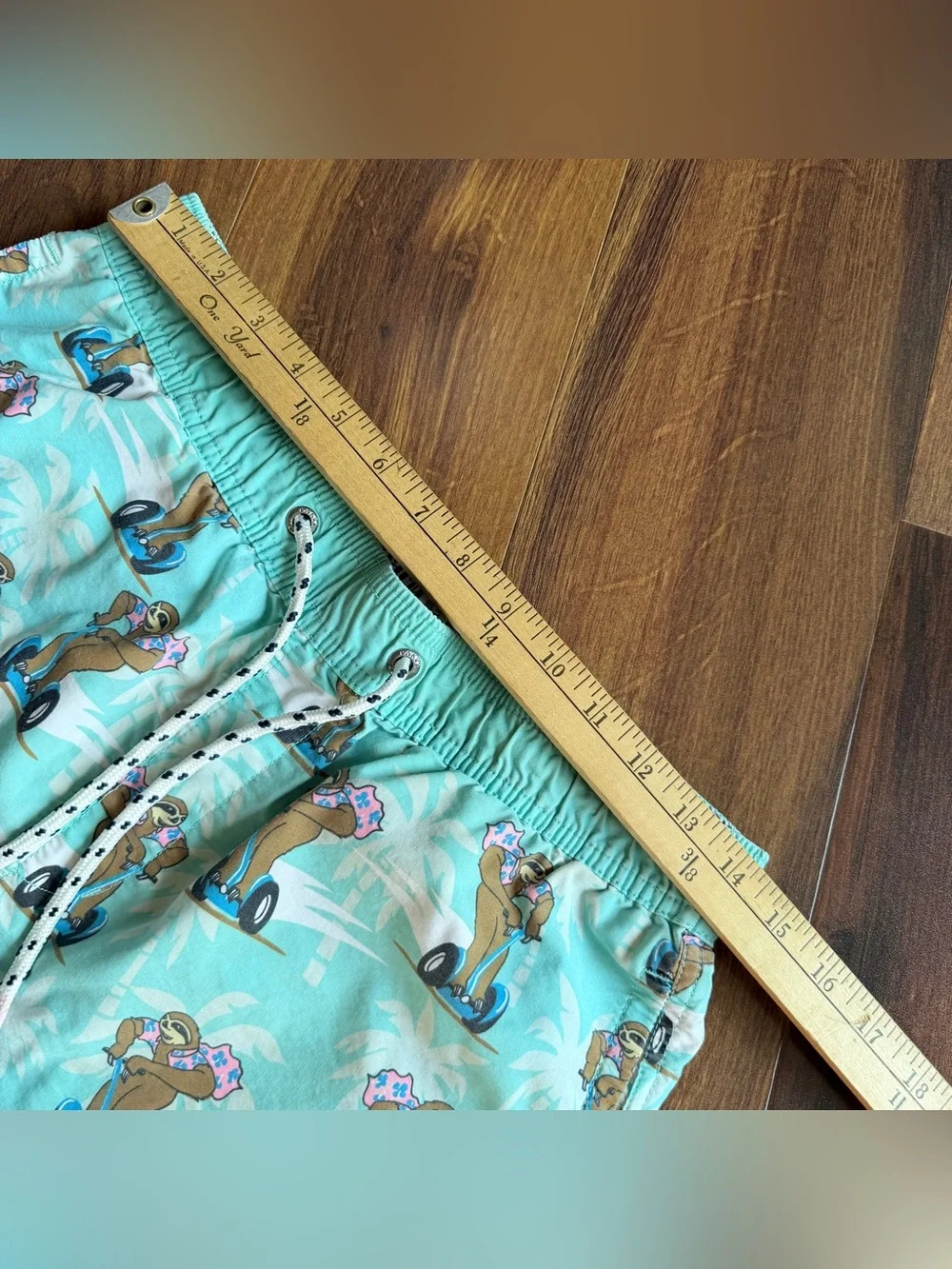 Party Pants Sloth Segway Men’s Unlined Shorts Small